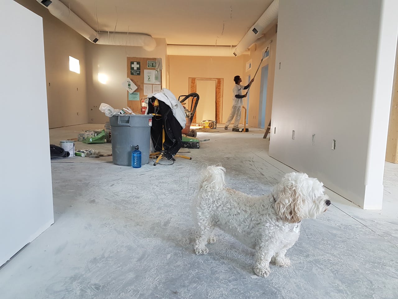services-04 Interior renovation scene with a painter working and a dog in the foreground.